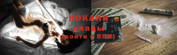 ПСИЛОЦИБИНОВЫЕ ГРИБЫ Арсеньев
