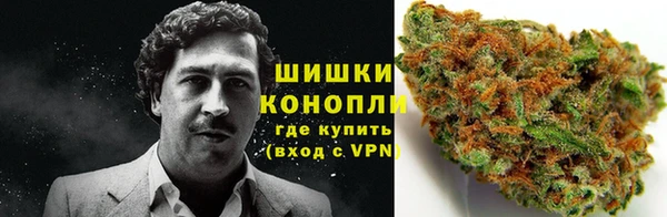ПСИЛОЦИБИНОВЫЕ ГРИБЫ Арсеньев