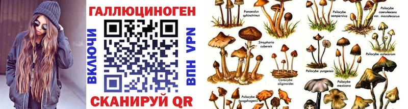 продажа наркотиков  blacksprut ссылка  Псилоцибиновые грибы ЛСД  Семилуки 