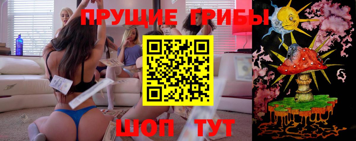 где купить наркоту  Псилоцибиновые грибы Psilocybine cubensis  Вход с VPN  Псилоцибиновые грибы Psilocybe  Семилуки 