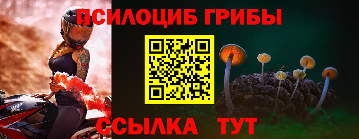 Псилоцибиновые грибы мицелий Семилуки